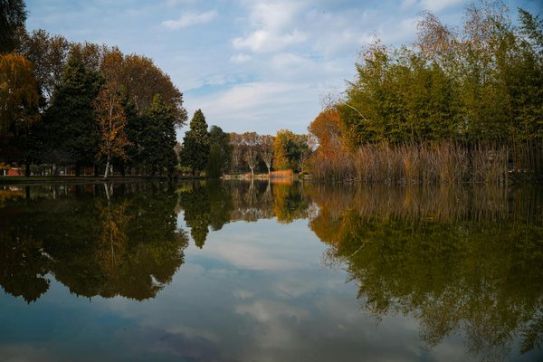 Academie Sante Globale